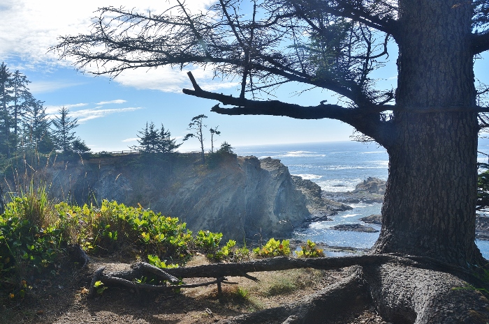 coastal trail